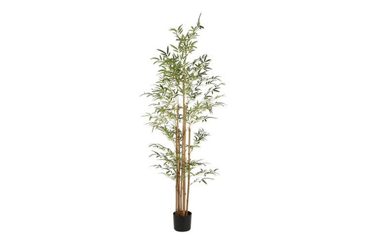 Kunstplant Bamboo XL groen-L60B60H180CM