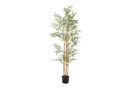 Artificial plant Bamboo XXL green-L60B60H240CM