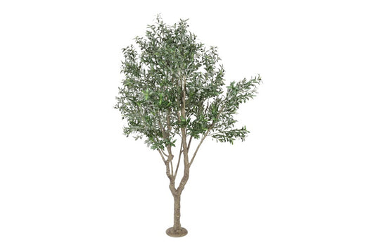 Art plant Olive Olea green-L100B100H260CM