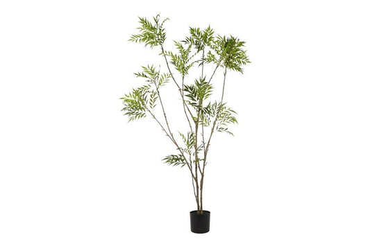 Kunstplant Mahonia L groen-L60B60H215CM