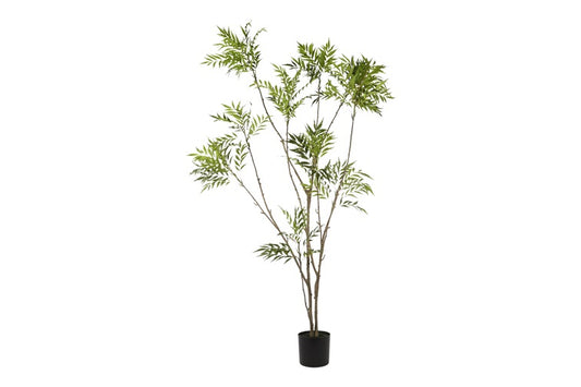 Art Plant Mahonia L green-L60B60H215CM
