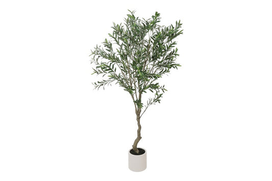 Art Plant on trunk Olive Olea L green-L80B80H200CM