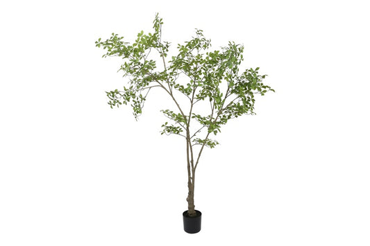 Art Plant Mahonia L green-L60B60H220CM
