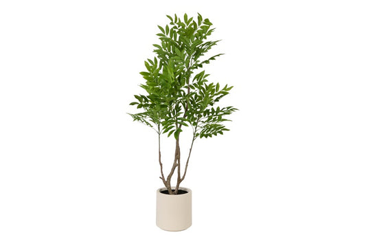 Art Plant Rhus M green-L90B90H155CM