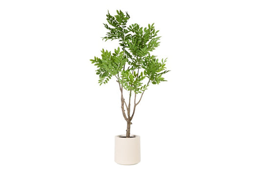 Art Plant Rhus L green-L105B90H185CM
