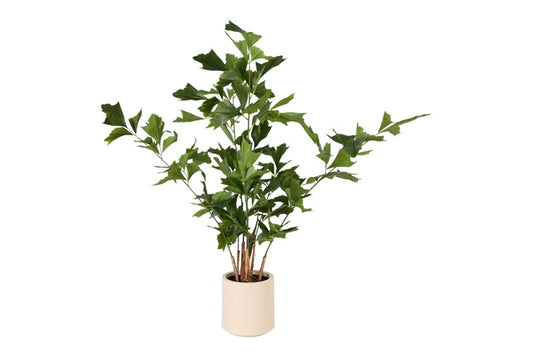 Art Plant Caryota M green-L95B95H150CM