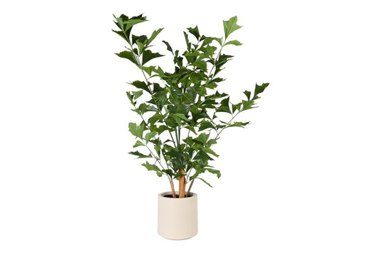 Art Plant Caryota L green-L120B120H180CM