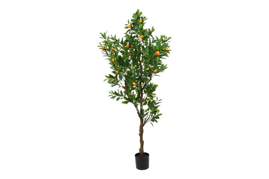 Art plant Sinansis S orange-L80B80H210CM