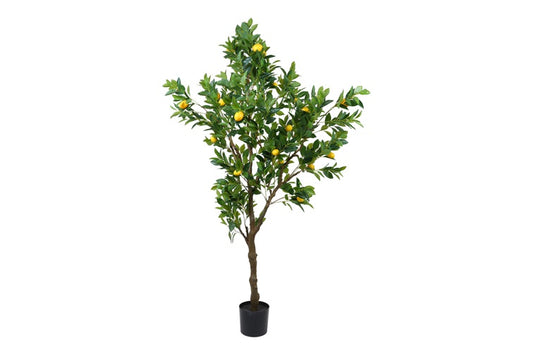 Art plant Citrus limon S yellow-L80B80H210CM