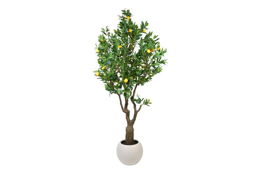 Art plant Citrus limon L yellow-L120B110H260CM