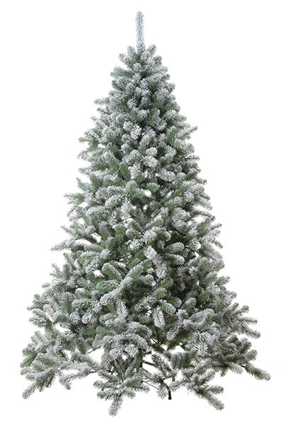 Christmas tree Rocky Mountain - 150cm
