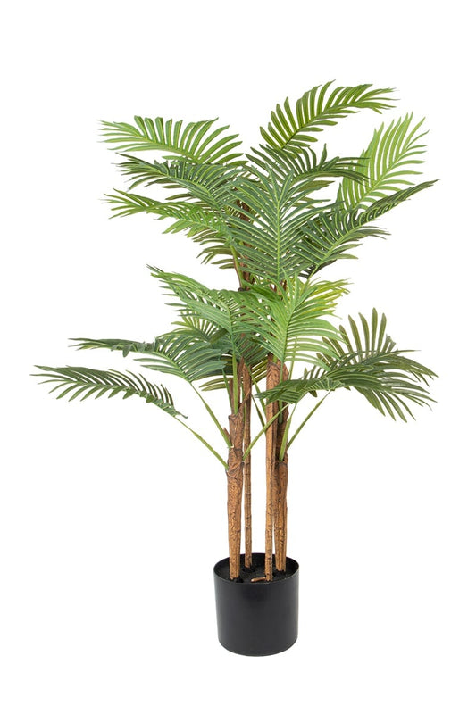 Areca 07738 120
