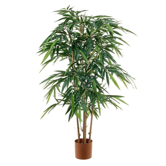 Bamboo 2737281
