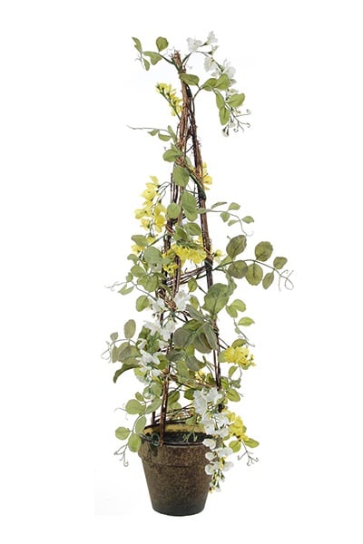 Wisteria 7-9097 475