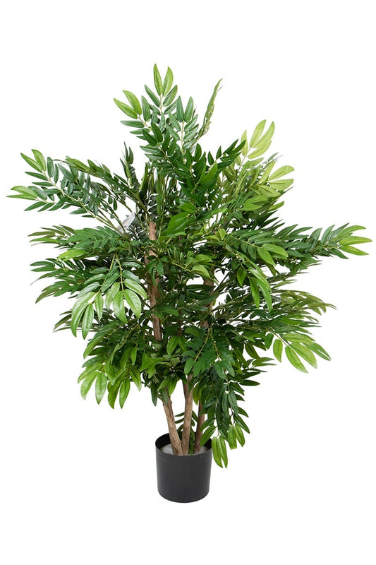 Sorbus 42097 090