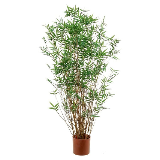 Bamboo 2930859