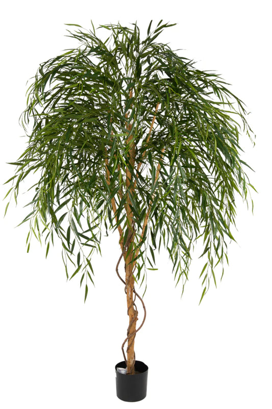 Kunst Wilgenboom